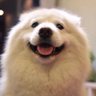 Hanson.han profil fotoğrafı