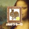 🐥⸒⸒あかりん🐰🐥⸒⸒'s profile picture