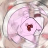 tarisuman0529's profile picture
