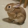 ちゃみ💊110回's profile picture