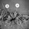 Фото профиля John Howard