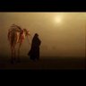Фото профиля Abu Hesham