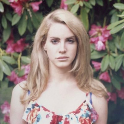 soIarfreak's profile picture