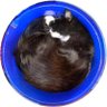 Bendix's profile picture