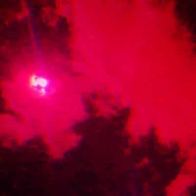 nuitverses's profile picture
