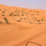 عبدالله بن فهد's profile picture