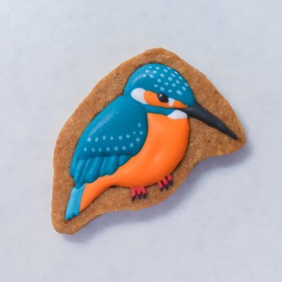 birdcookielog's profile picture