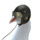 Profilbild von Deuspigeon