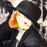 Murphy Vhay's profile picture