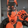 T1gerdude 🐯 的头像