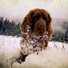 Profilbild von Gilbert Grape