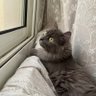 رنيم 的头像