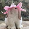 M.C🥺's profile picture