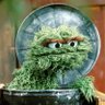 Profilbild von Aromantic Oscar the Grouch