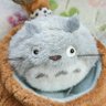 minitotoro33🍰's profile picture