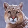 Profilbild von Jason
