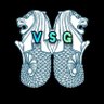 Village SG's profile picture