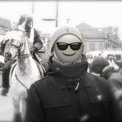 Marco ็ถ's profile picture