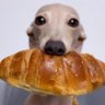 Profilbild von Креденсмейстер