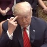 TonaldDrump's profile picture