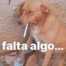 lady birdy cheia de gracinha; 的头像