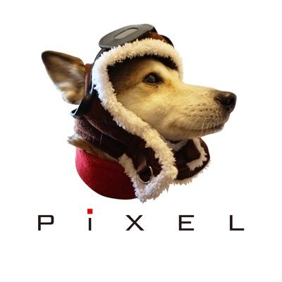 PiXEL(ピクセル)公式's profile picture