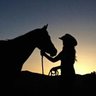هِـنــْد السُّحيْبانِي ‏.. profil fotoğrafı