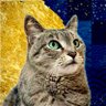 しい's profile picture