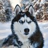 Profilbild von Sonijo