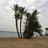 حسن profil fotoğrafı