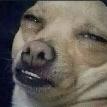 cocococult's profile picture