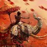 The Hindu Jedi's profile picture