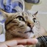 Gxxx's profile picture