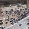 Фото профиля Hasan Yıldırım