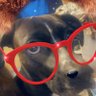 Coco profil fotoğrafı