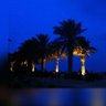 غربال profil fotoğrafı