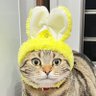 ると 的头像