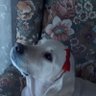 Profilbild von maran3576