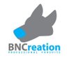 BNCreation 的头像