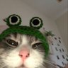 emi's profile picture
