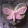 littlefairy6 的头像