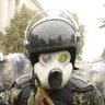 浦安齧歯類警察's profile picture