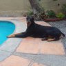 Meridio's profile picture