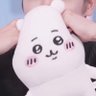 포송이 的头像