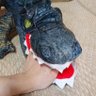 Profilbild von からたち