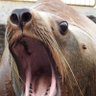 どんどん's profile picture