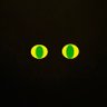 Profilbild von RN黒猫レオパード