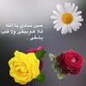 غيم's profile picture