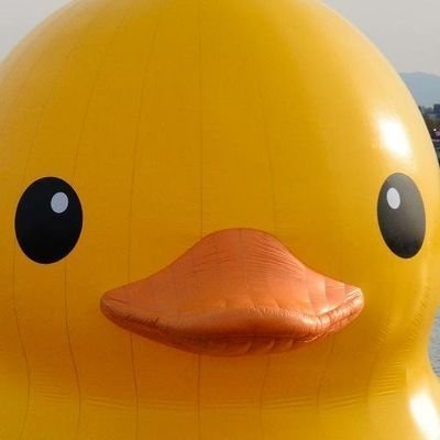 s_inaba187's profile picture