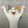 きみこさん profil fotoğrafı
